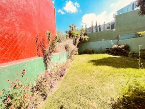 IMG_6787.jpeg &nbsp;